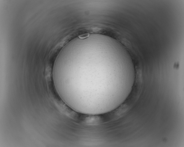 X0000110950274200907022204