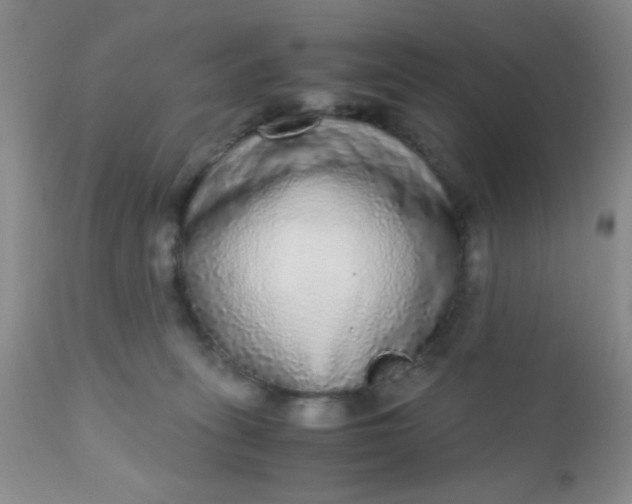 X0000110950275200907022204