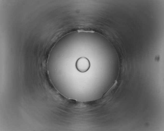 X0000110950276200907022204