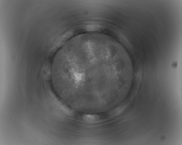 X0000110950277200907022204