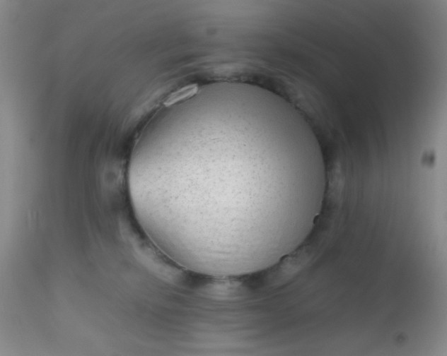 X0000110950278200907022204