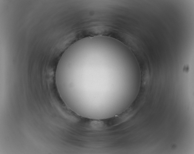 X0000110950279200907022204