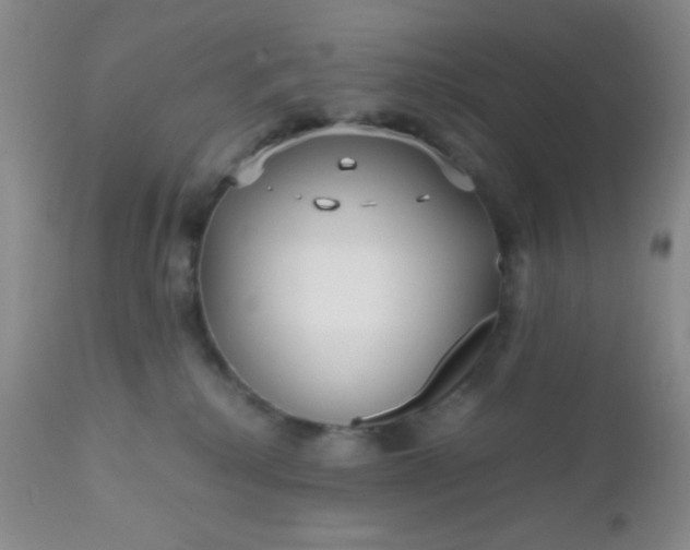 X0000110950280200907022204