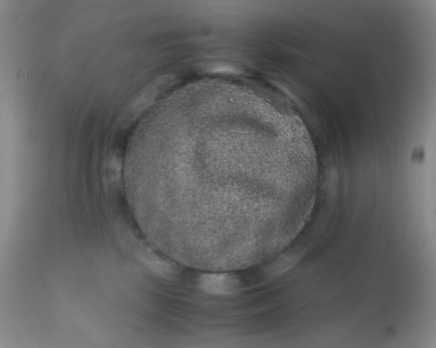 X0000110950281200907022204