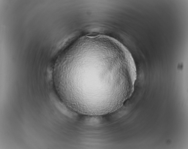 X0000110950282200907022204