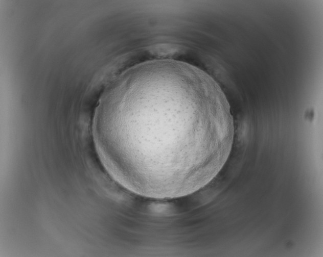 X0000110950283200907022204