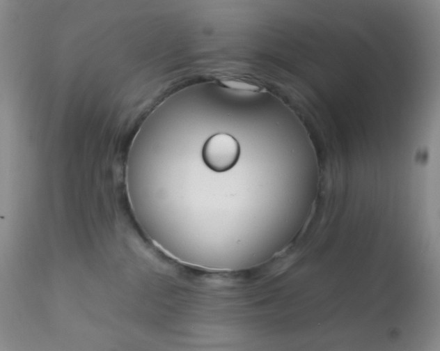 X0000110950284200907022204