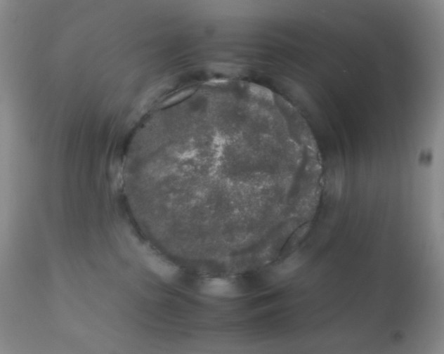 X0000110950285200907022204