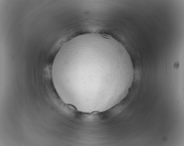 X0000110950286200907022204