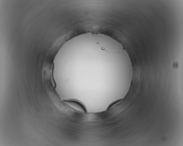 X0000110950287200907022204