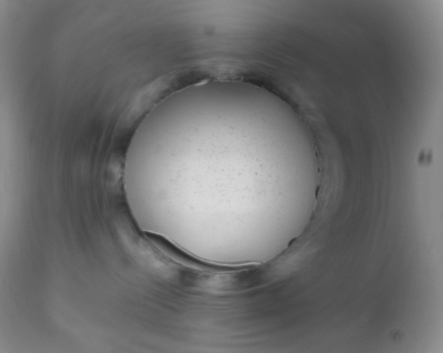 X0000110950288200907022204