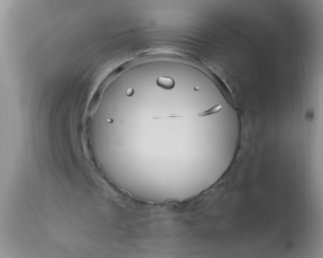 X0000110950289200907022204