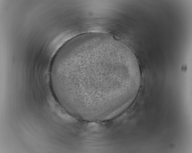 X0000110950290200907022204