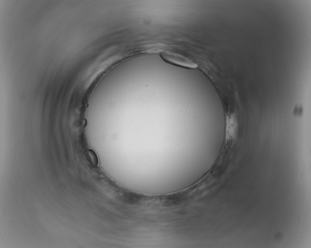 X0000110950291200907022204