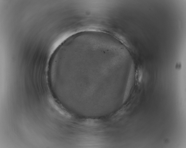 X0000110950292200907022204