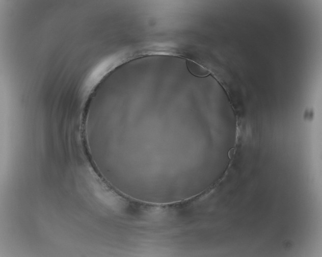 X0000110950293200907022204