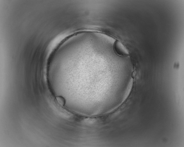 X0000110950294200907022204