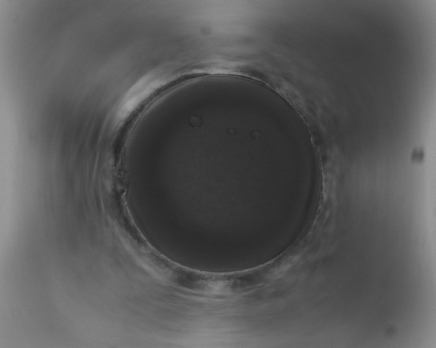 X0000110950295200907022204