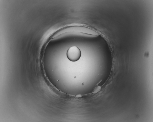 X0000110950296200907022204