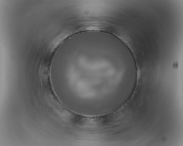 X0000110950297200907022204