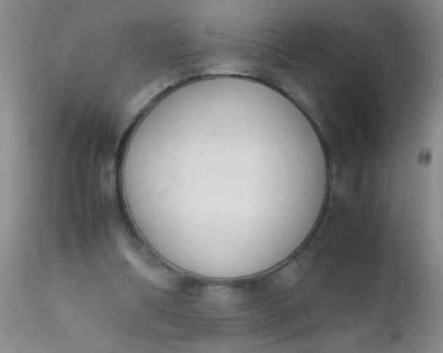 X0000110950298200907022204