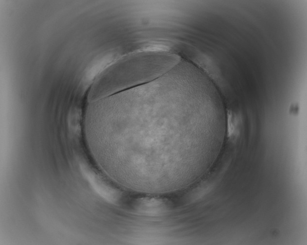 X0000110950300200907022204