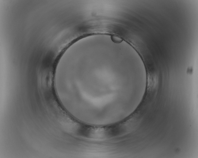 X0000110950301200907022204