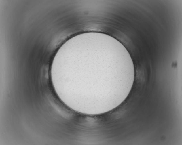 X0000110950302200907022203