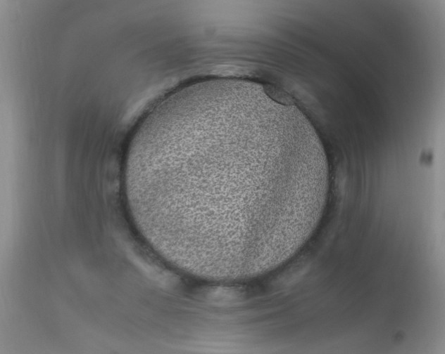 X0000110950303200907022203