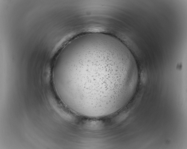 X0000110950304200907022203