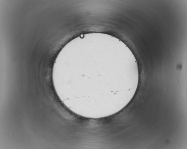 X0000110950305200907022203