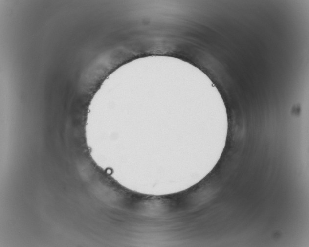 X0000110950307200907022203