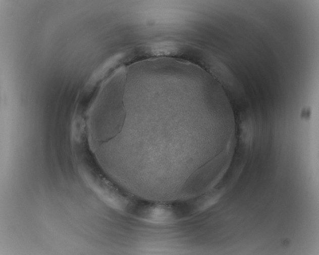 X0000110950308200907022203