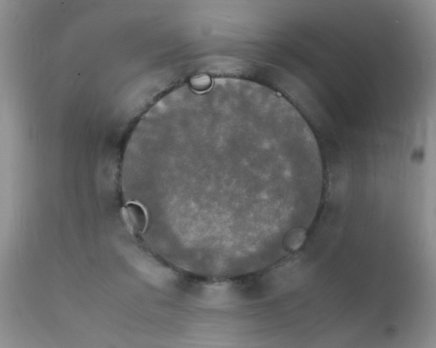 X0000110950309200907022203