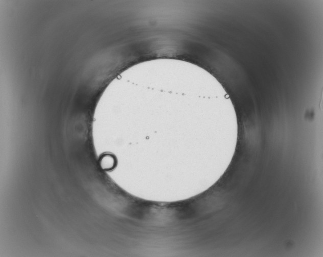 X0000110950311200907022203