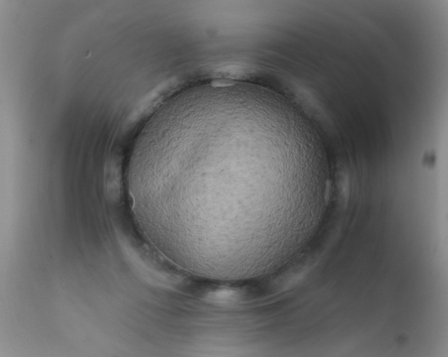 X0000110950312200907022203