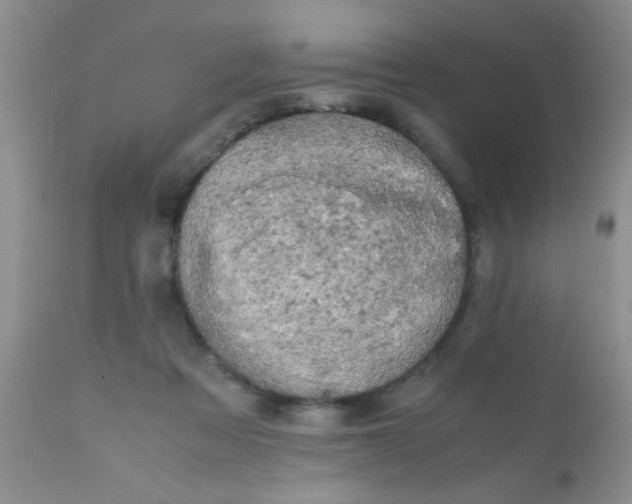 X0000110950313200907022203