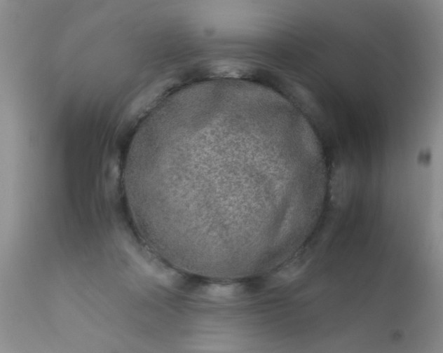 X0000110950314200907022203