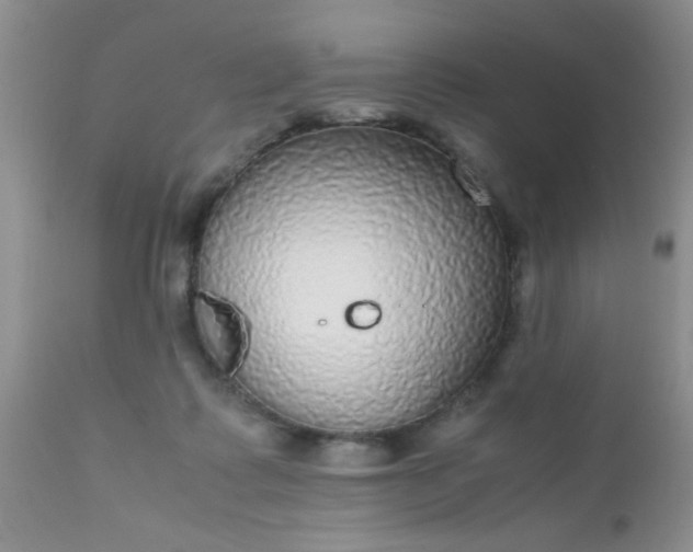 X0000110950315200907022203