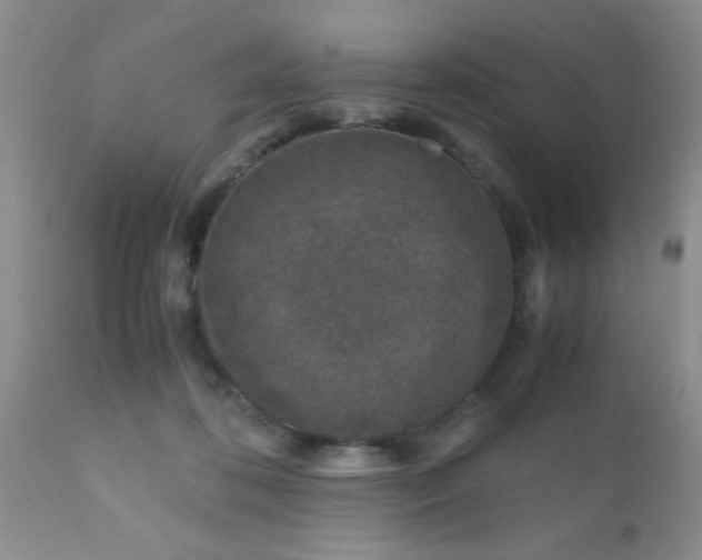 X0000110950316200907022203