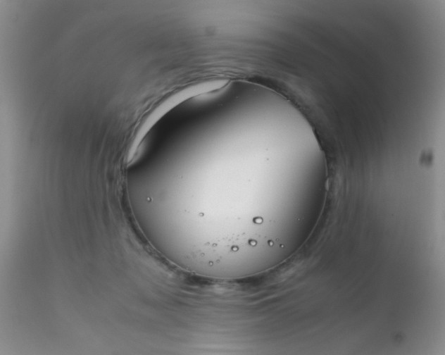 X0000110950317200907022203