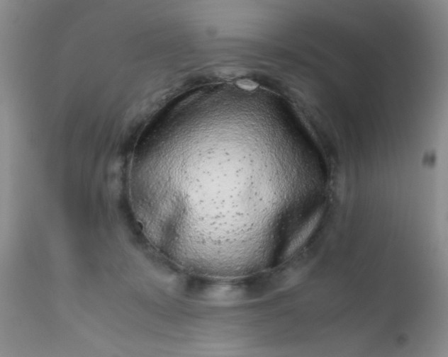 X0000110950319200907022203