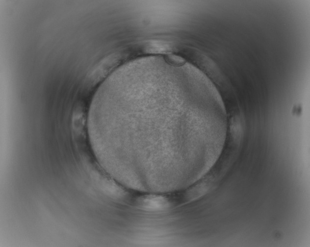 X0000110950322200907022203