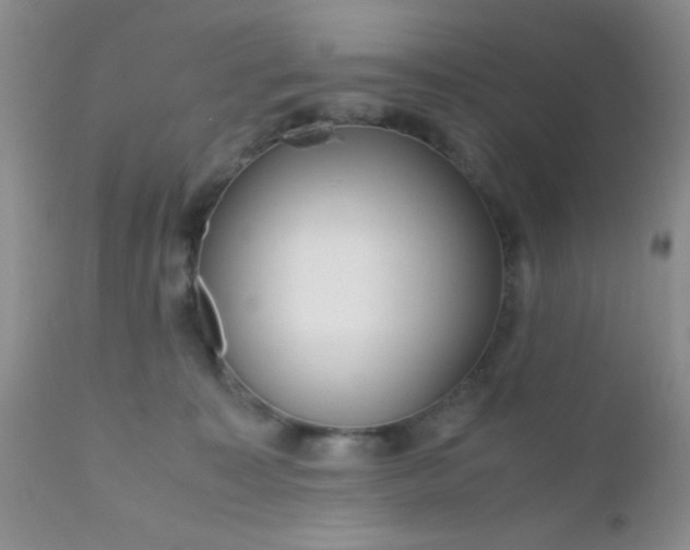 X0000110950323200907022203