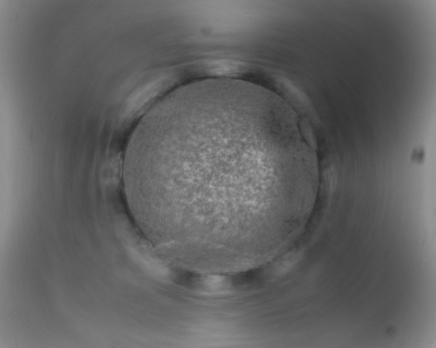 X0000110950325200907022203