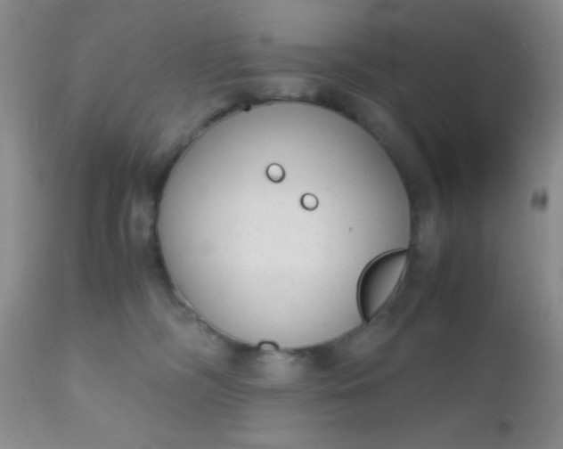 X0000110950326200907022203