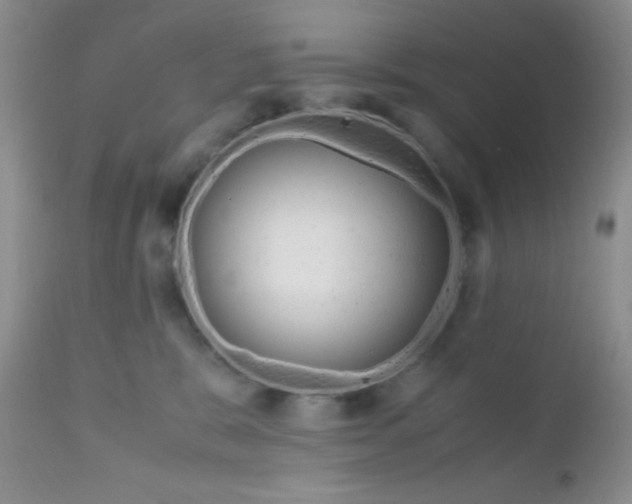 X0000110950327200907022203