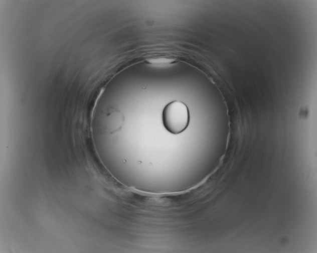 X0000110950328200907022203