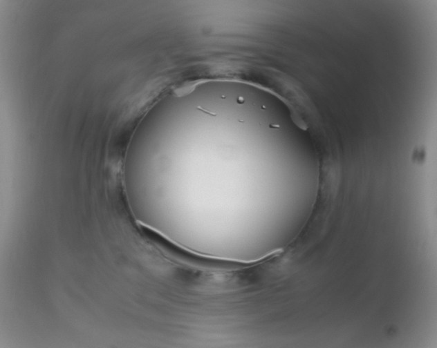 X0000110950329200907022203