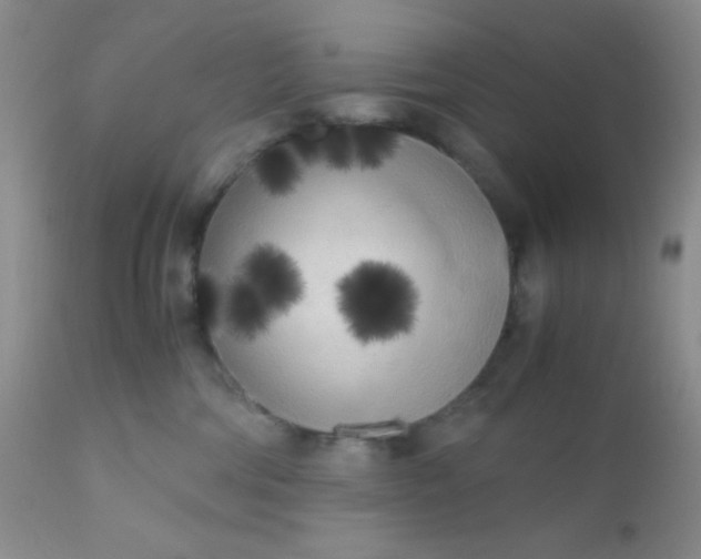 X0000110950330200907022203